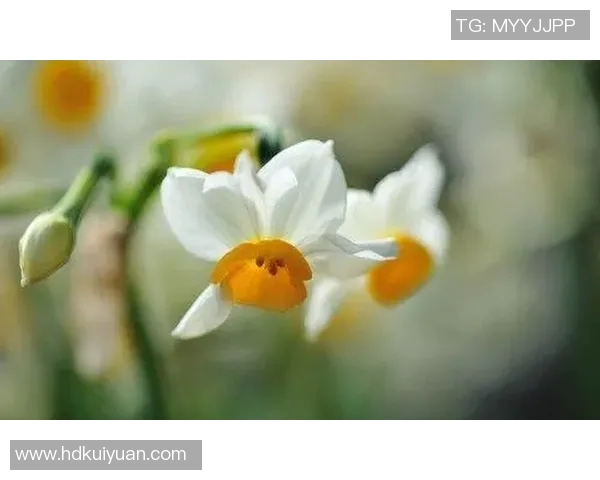 李玄旭：从平凡到卓越的奋斗之路与人生哲学探讨